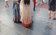 追剧牛人王八影院